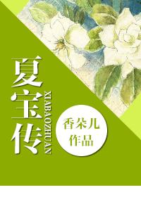 夏宝传Ⅰ